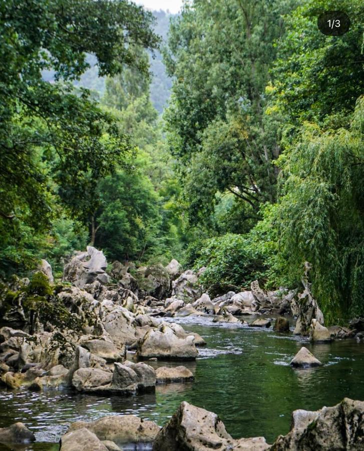 Hdec Hosteria De Castaneda Alojamiento Turistico 蓬特维耶斯戈 外观 照片