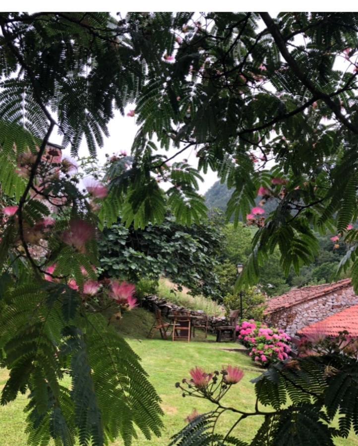 Hdec Hosteria De Castaneda Alojamiento Turistico 蓬特维耶斯戈 外观 照片