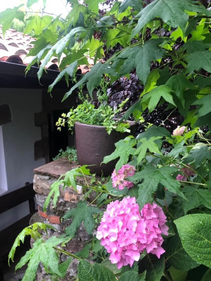Hdec Hosteria De Castaneda Alojamiento Turistico 蓬特维耶斯戈 外观 照片